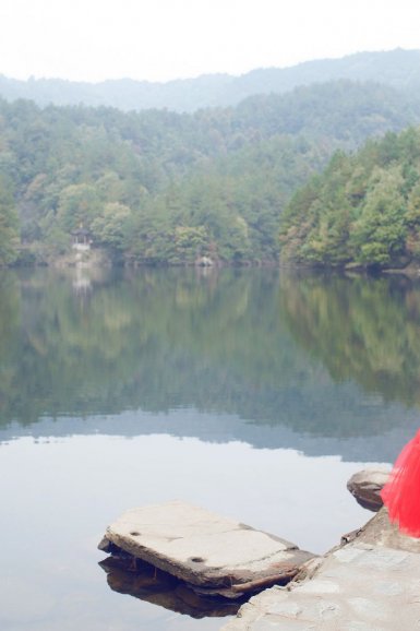 半岛体育官方网站：石榴树苗价格要多少钱一棵？夏季怎么种植石榴树苗？